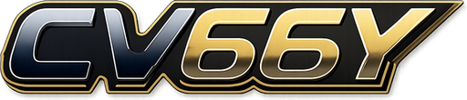 bdcv66y.com Logo